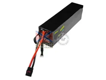 EVCELL 6S1P 1900Wh 85000mAh 6-3816 фото