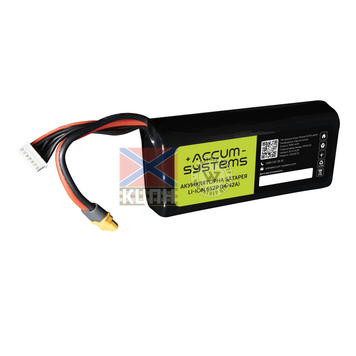 Accum 8400 6s2p Molicel 6-1249 фото