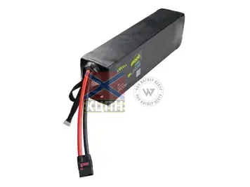 EVCELL 6S1P 1800Wh 81000mAh 6-3946 фото