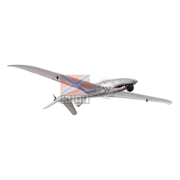 Shark-D 1-1173 фото