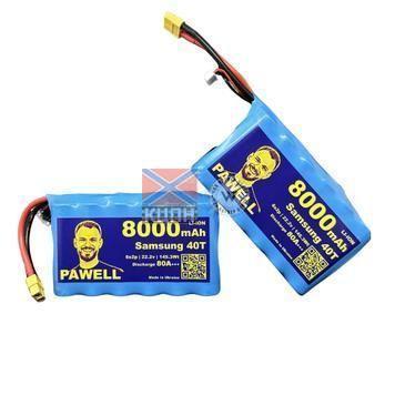 Pawell 8000 6s2p 106-018 фото