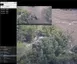 Azaion Suite - автоматичне визначення GPS координат обєктів і техніки 110-003 фото 2
