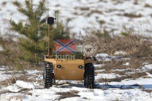 Транспортувальник, мінер, розвідник: багатофункціональний НРК Sirko-S1 фото
