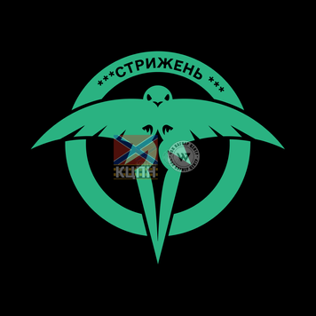 СТРИЖЕНЬ 111-007 фото