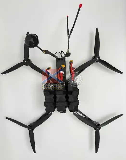 WIY DORA 1-2545 фото