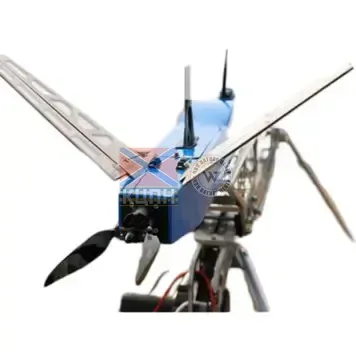 BUTTERFLY 10-AI 1-1179 фото 3