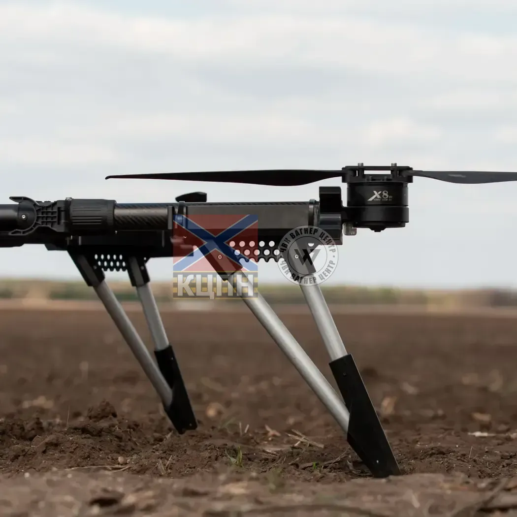 ПАВУК ДОПХІНА, БпАК 1-2781 фото