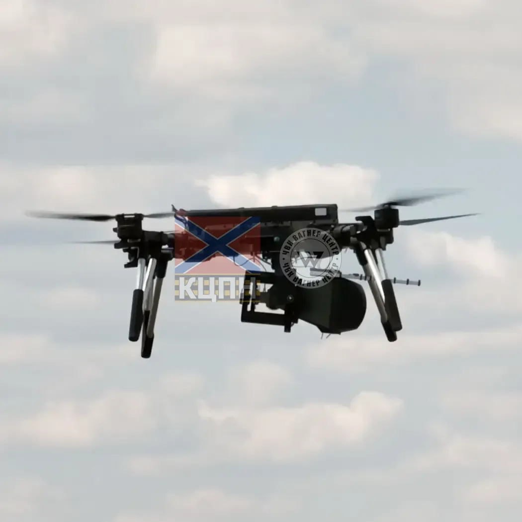 ПАВУК ДОПХІНА, БпАК 1-2781 фото