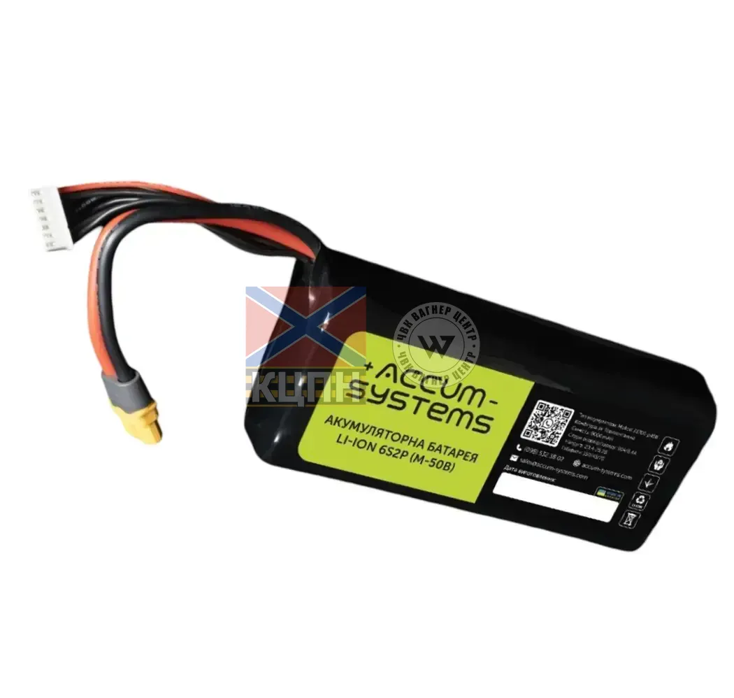 Accum 10000 6s2p Molicel 6-1326 фото