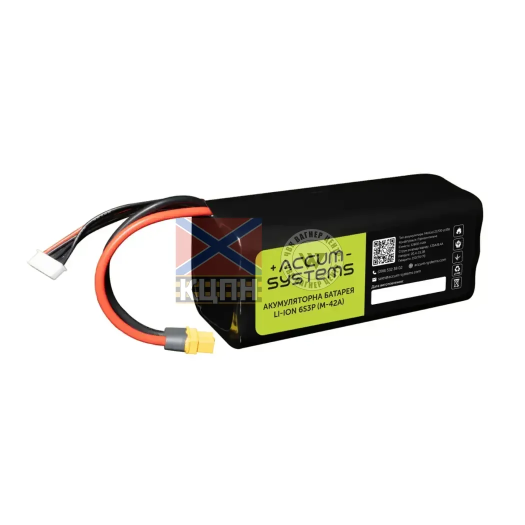 Accum 12600 6s3p Molicel 6-1251 фото