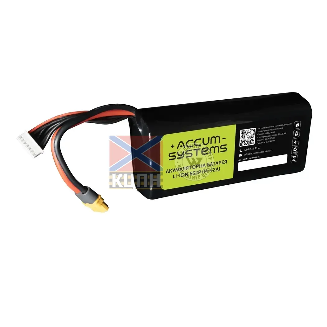 Accum 8400 6s2p Molicel 6-1249 фото