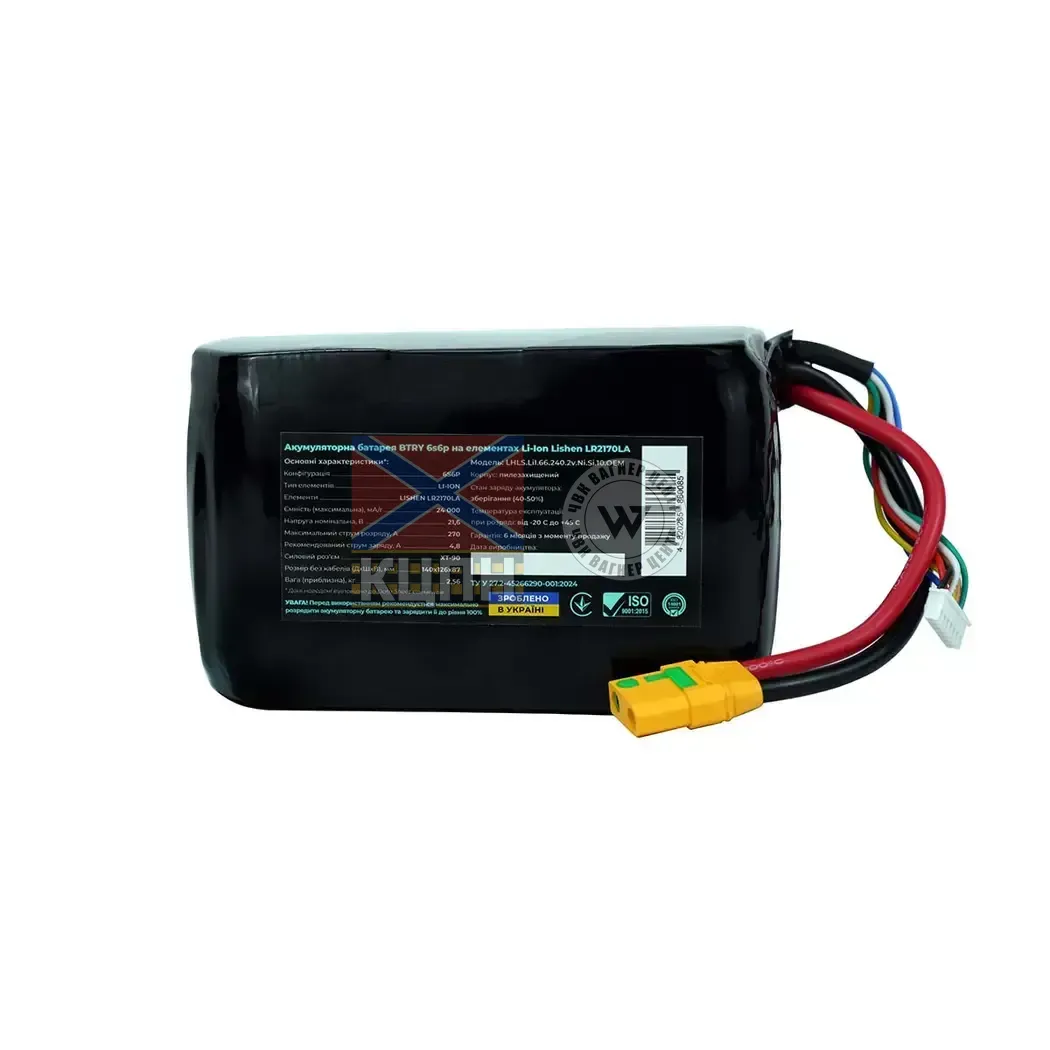 BTRY 24000 6s6p Lishen  6-1240 фото