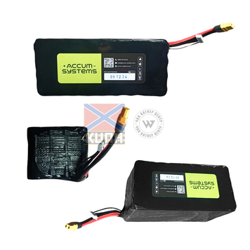 Accum 13500 8s3p Molicel 6-1255 фото