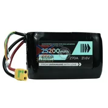 BTRY 25200 6s6p Molicel 6-1241 фото