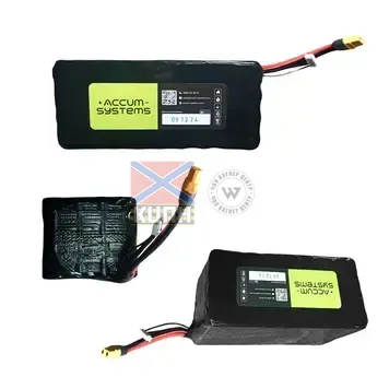 Accum 13500 8s3p Molicel 6-1255 фото