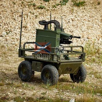 ШаРись ПКТ 2-1774 фото