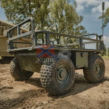 Рись 2-1078 фото