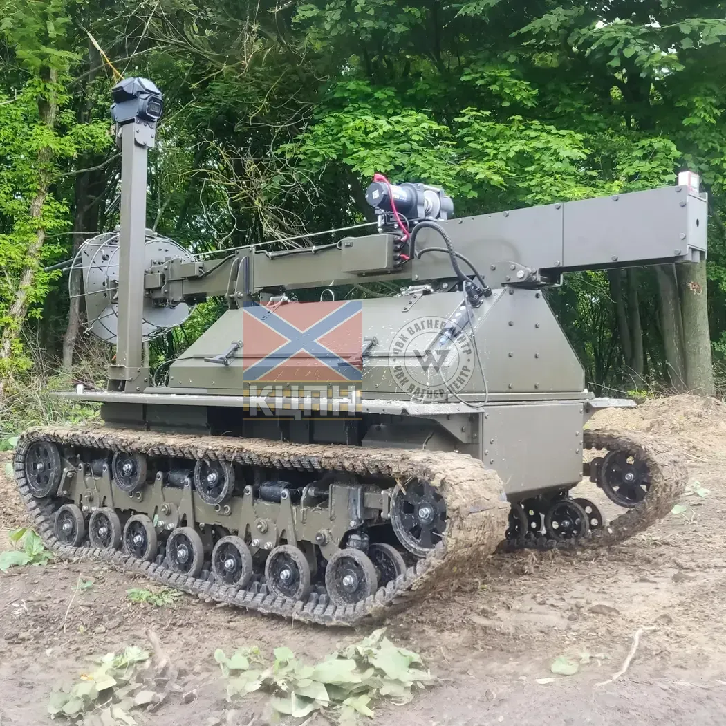 Плющ 2-1921 фото