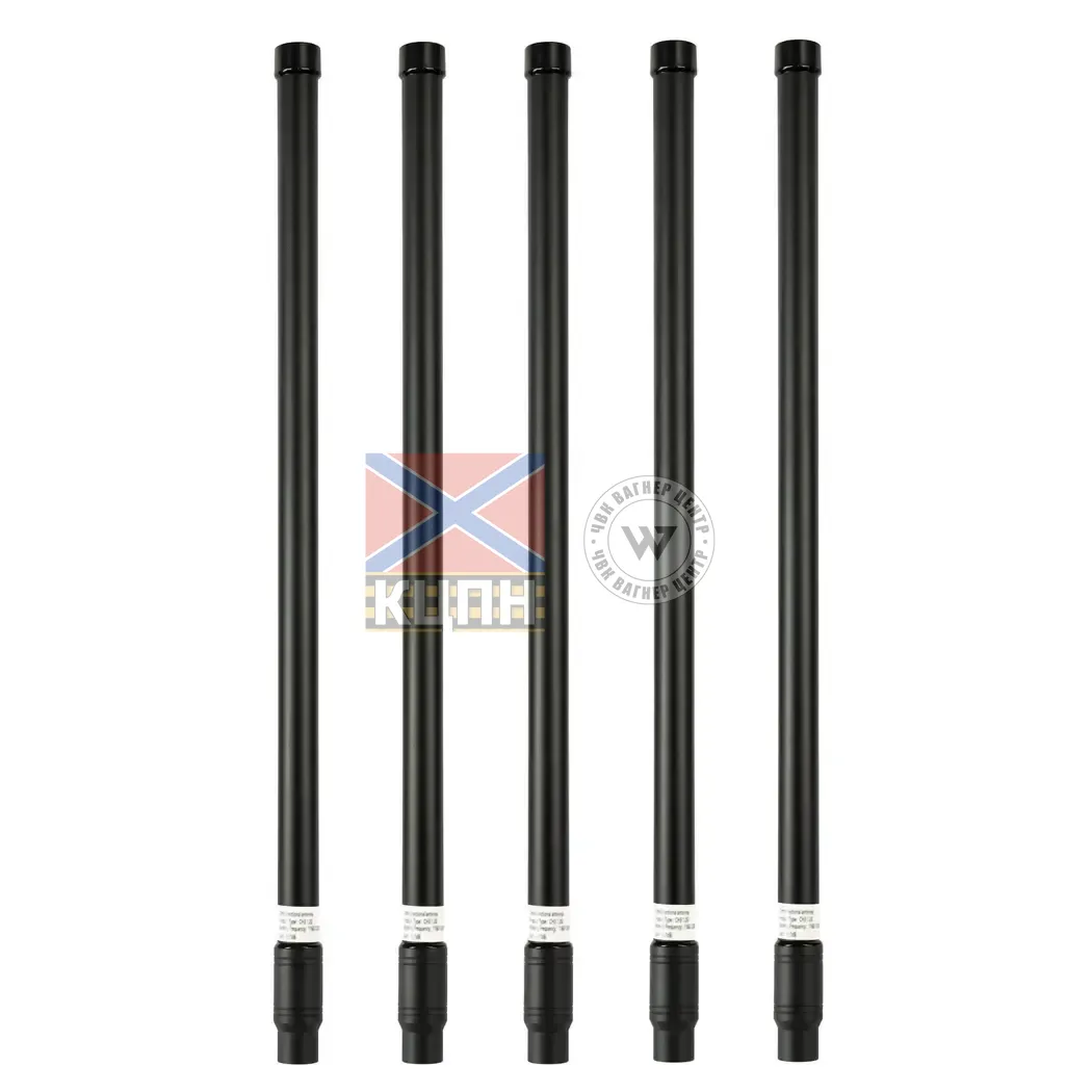 РЕБ LOLI X5 3-898 фото