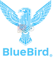 BlueBird