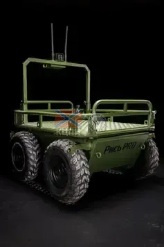 Рись Pro 2-1079 фото