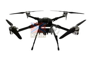 PEGASUS ARMS  25  фото