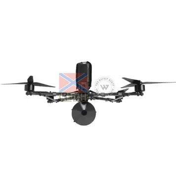 Lupynis-10 1-3574 фото