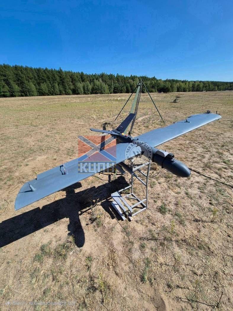 Babay 1-4238 фото