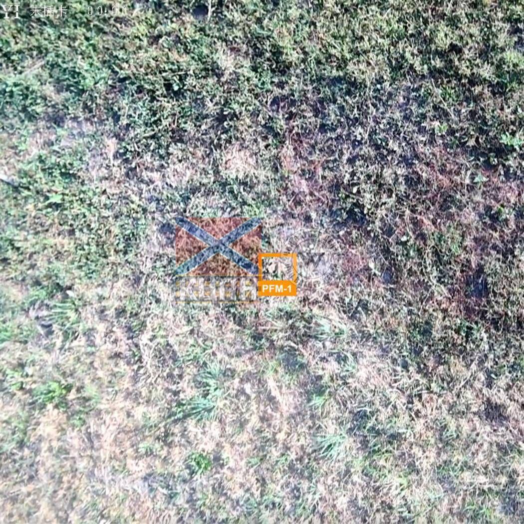 Раптор (ST2) 1-4055 фото