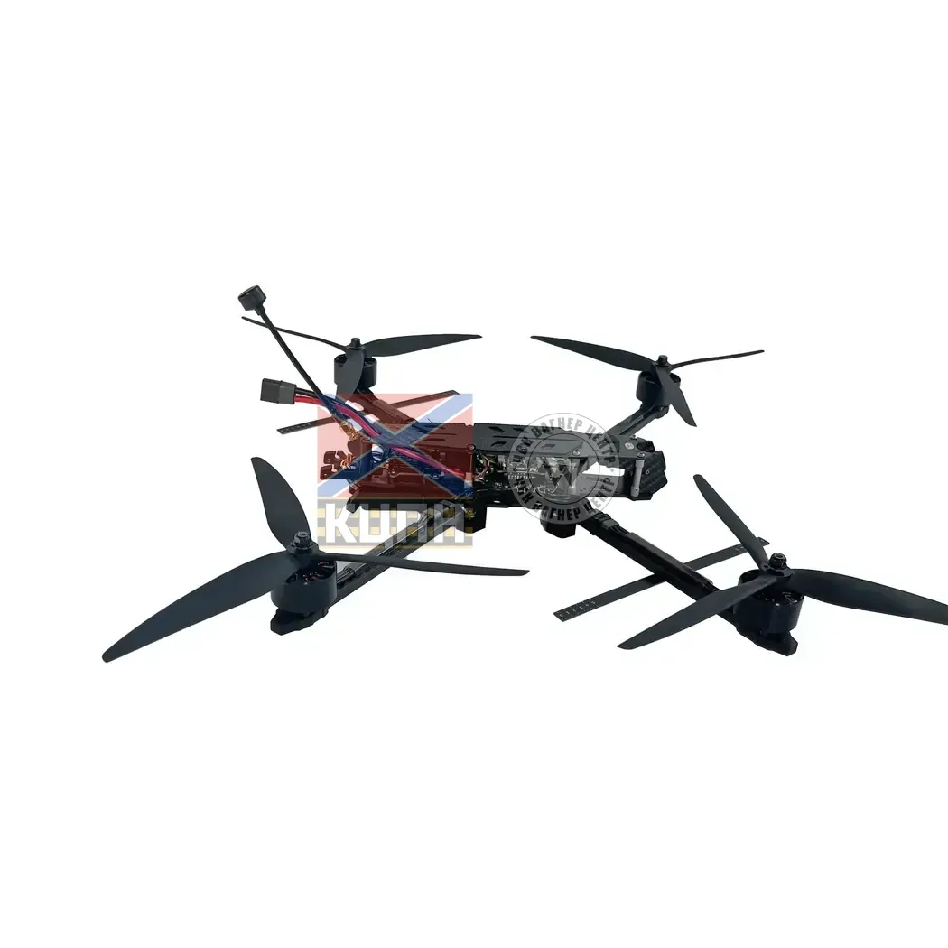 BUTTERFLY 10-AI 1-1179 фото