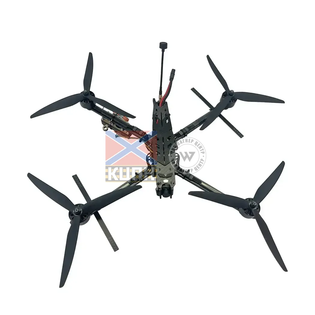 BUTTERFLY 10-B 1-1178 фото