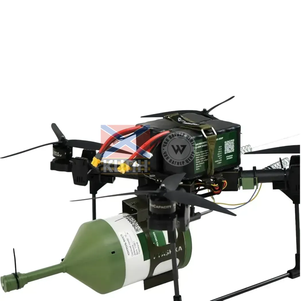 БпЛА Пташка 10-О-15 км 1-3146 фото