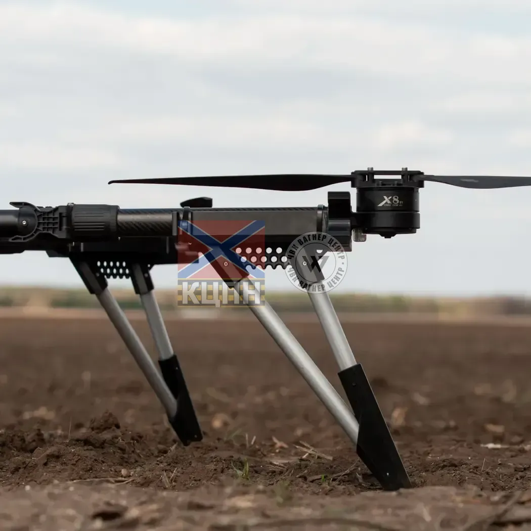 ПАВУК ДОПХІНА, БпАК 1-2781 фото