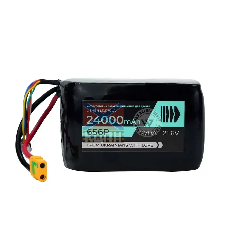 BTRY 24000 6s6p Lishen  6-1240 фото