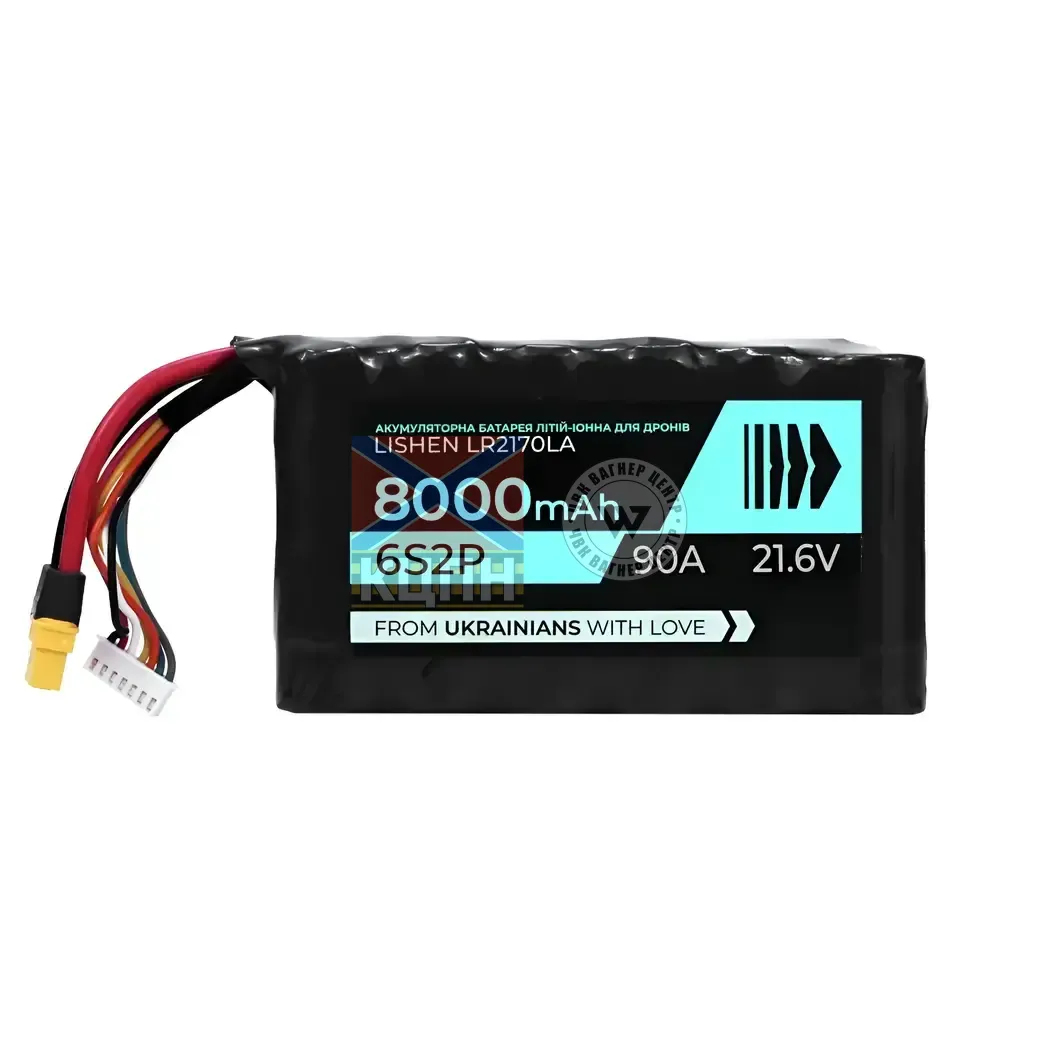 BTRY 8000 6s2p Lishen 6-1159 фото