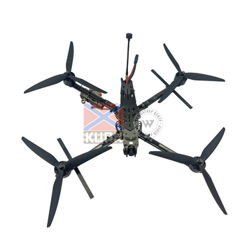 BUTTERFLY 10-B 1-1178 фото