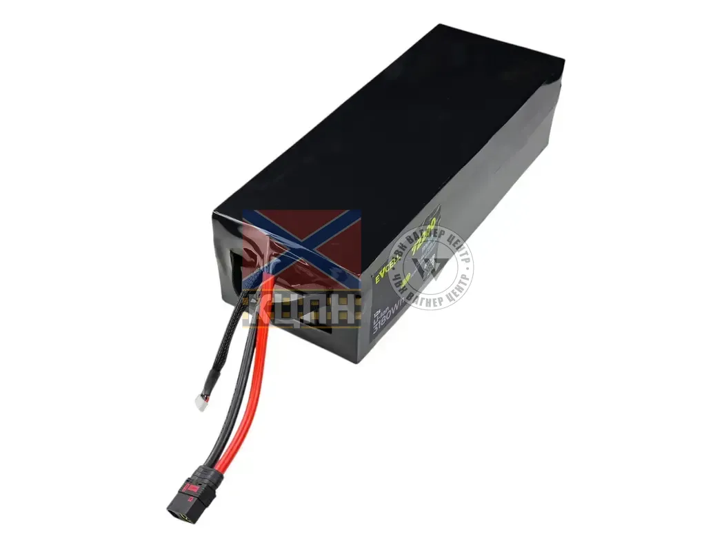 EVCELL 12S1P 3180Wh 72200mAh 6-3650 фото