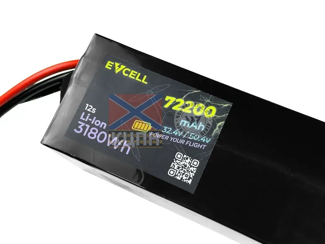 EVCELL 12S1P 3180Wh 72200mAh 6-3650 фото