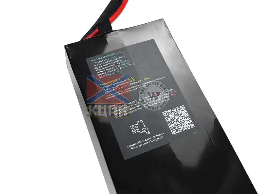 EVCELL 12S1P 3230Wh 75000mAh 6-3641 фото