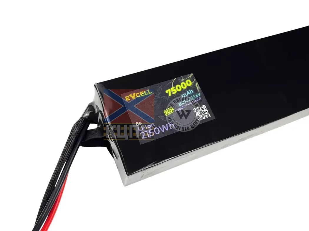 EVCELL 12S1P 3230Wh 75000mAh 6-3641 фото