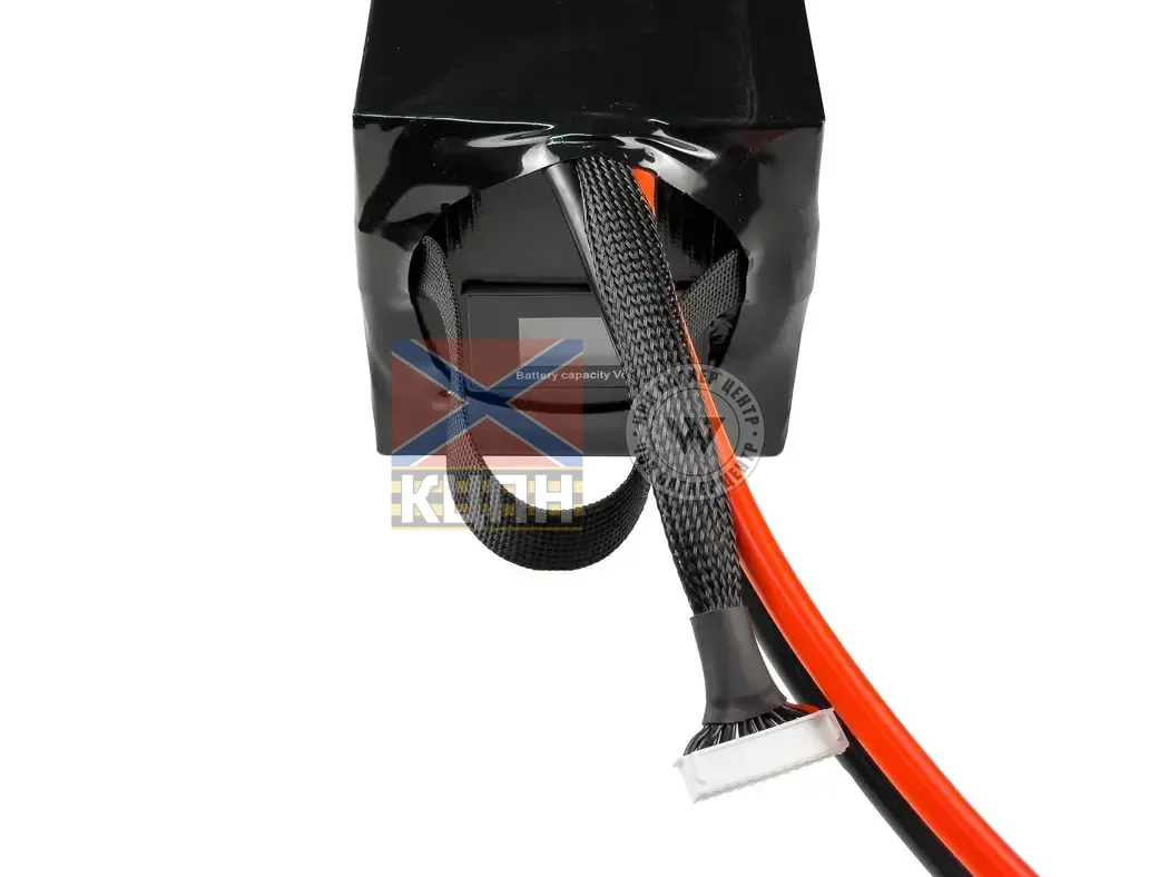 EVCELL 12S1P 3500Wh 79000mAh 6-3845 фото