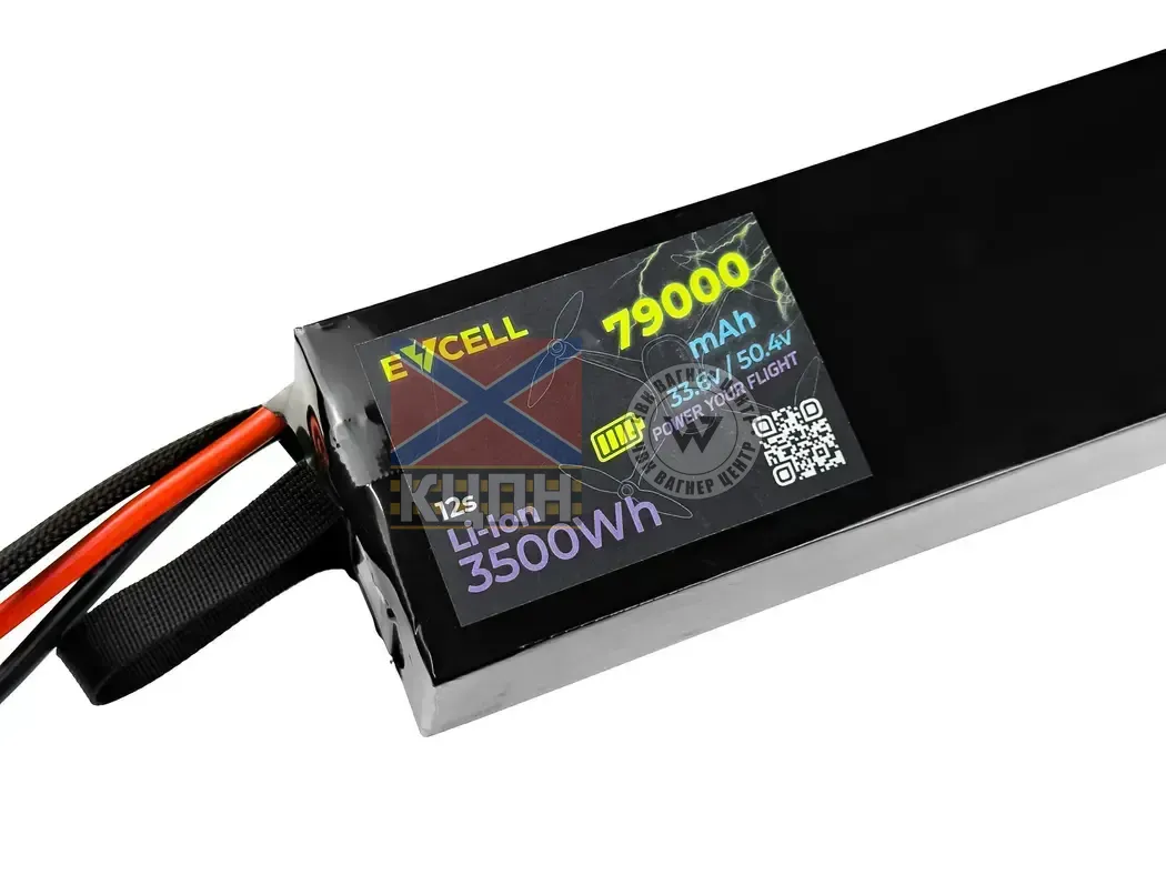 EVCELL 12S1P 3500Wh 79000mAh 6-3845 фото
