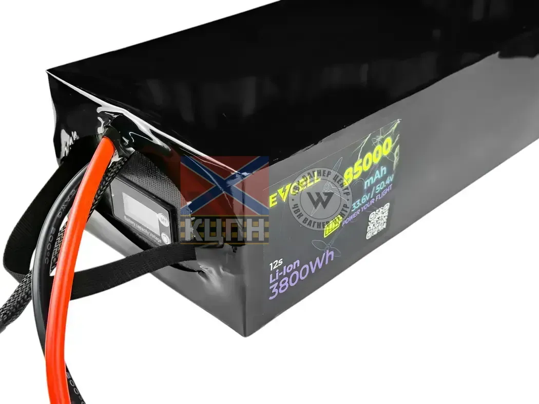 EVCELL 12S1P 3800Wh 85000mAh 6-3812 фото
