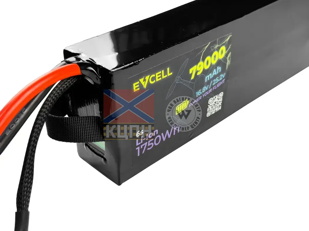 EVCELL 6S1P 1750Wh 79000mAh 6-3844 фото