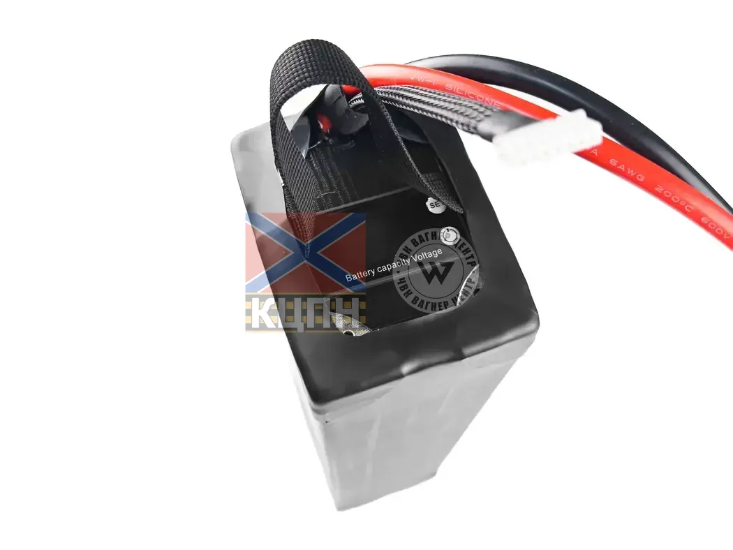 EVCELL 6S1P 1800Wh 81000mAh 6-3946 фото