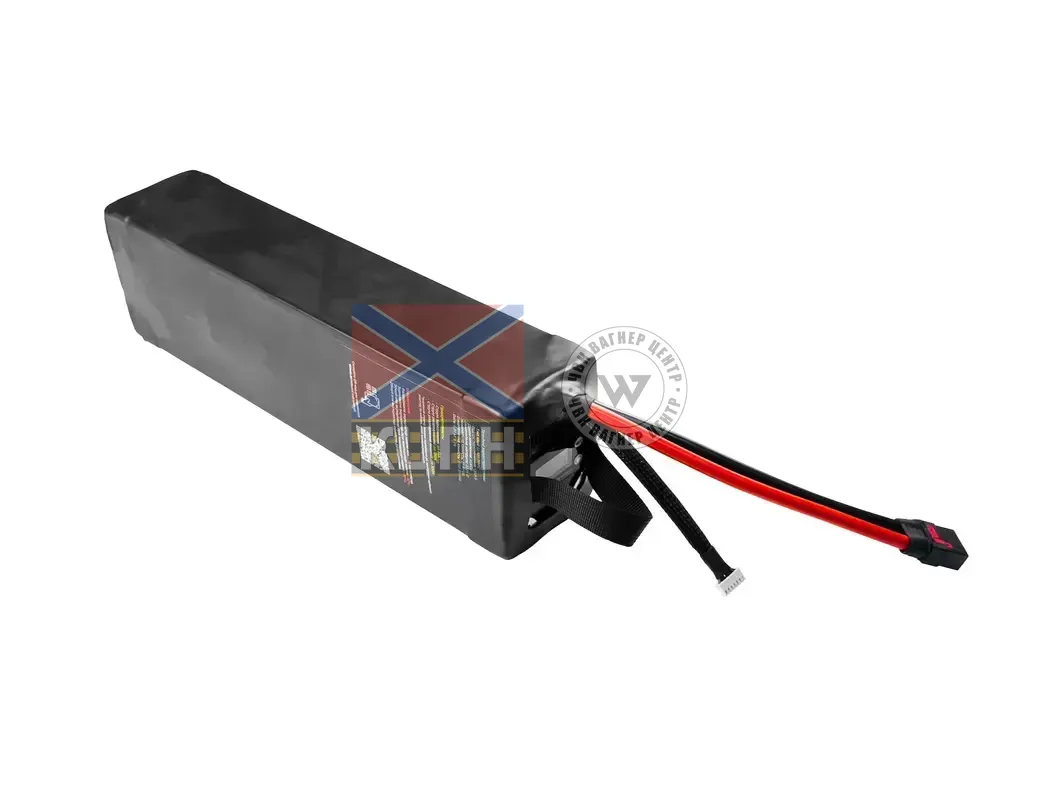 EVCELL 6S1P 1800Wh 81000mAh 6-3946 фото