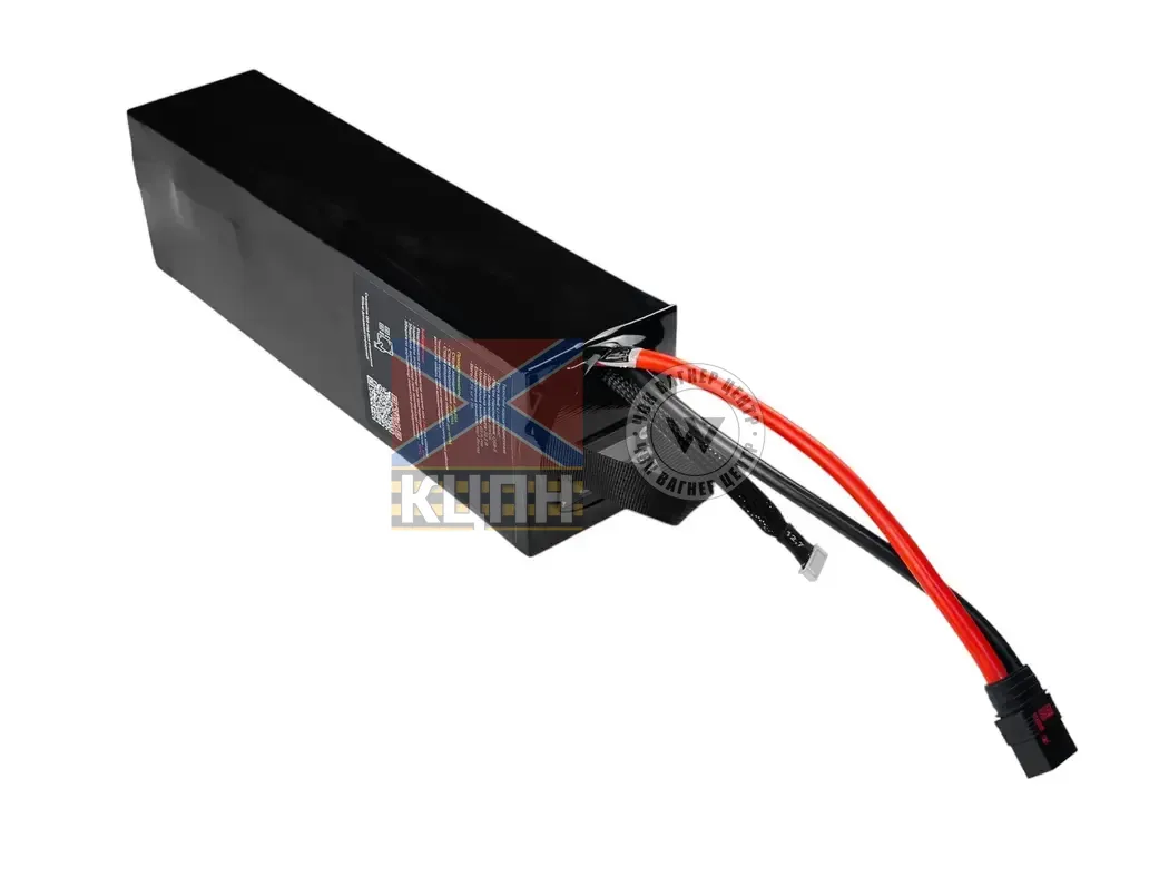 EVCELL 6S1P 1900Wh 85000mAh 6-3816 фото