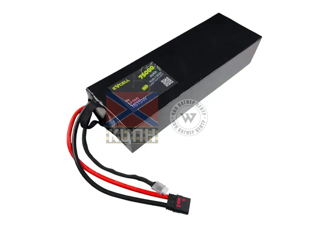 EVCELL 6s1p 75000mAh 6-3521 фото
