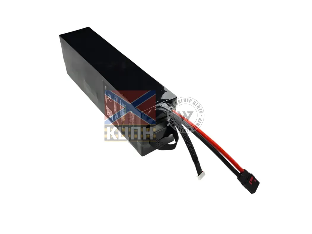 EVCELL 7s1p 72200mAh  6-3555 фото