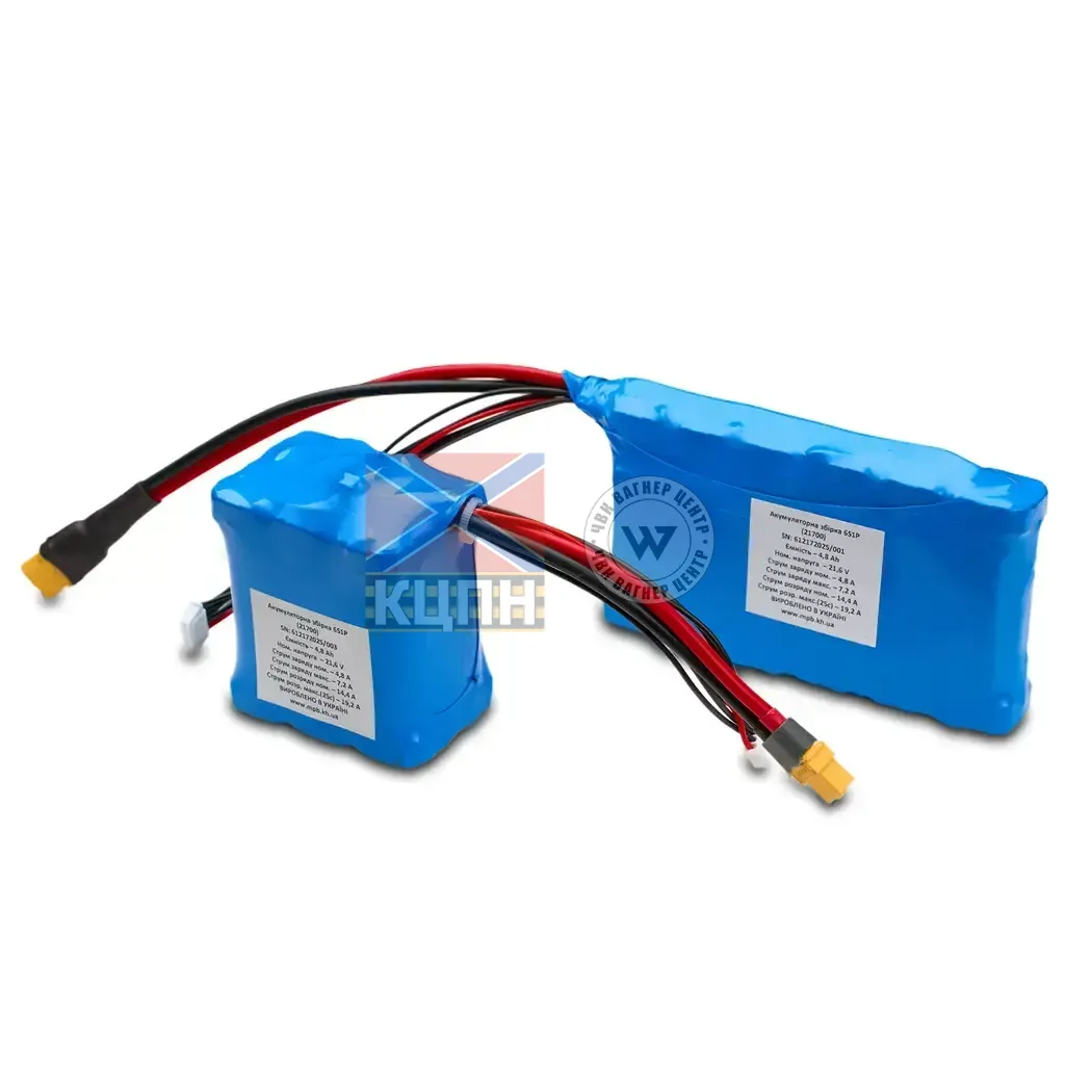 Акумуляторна збірка 6S1P (21700) 6-2589 фото